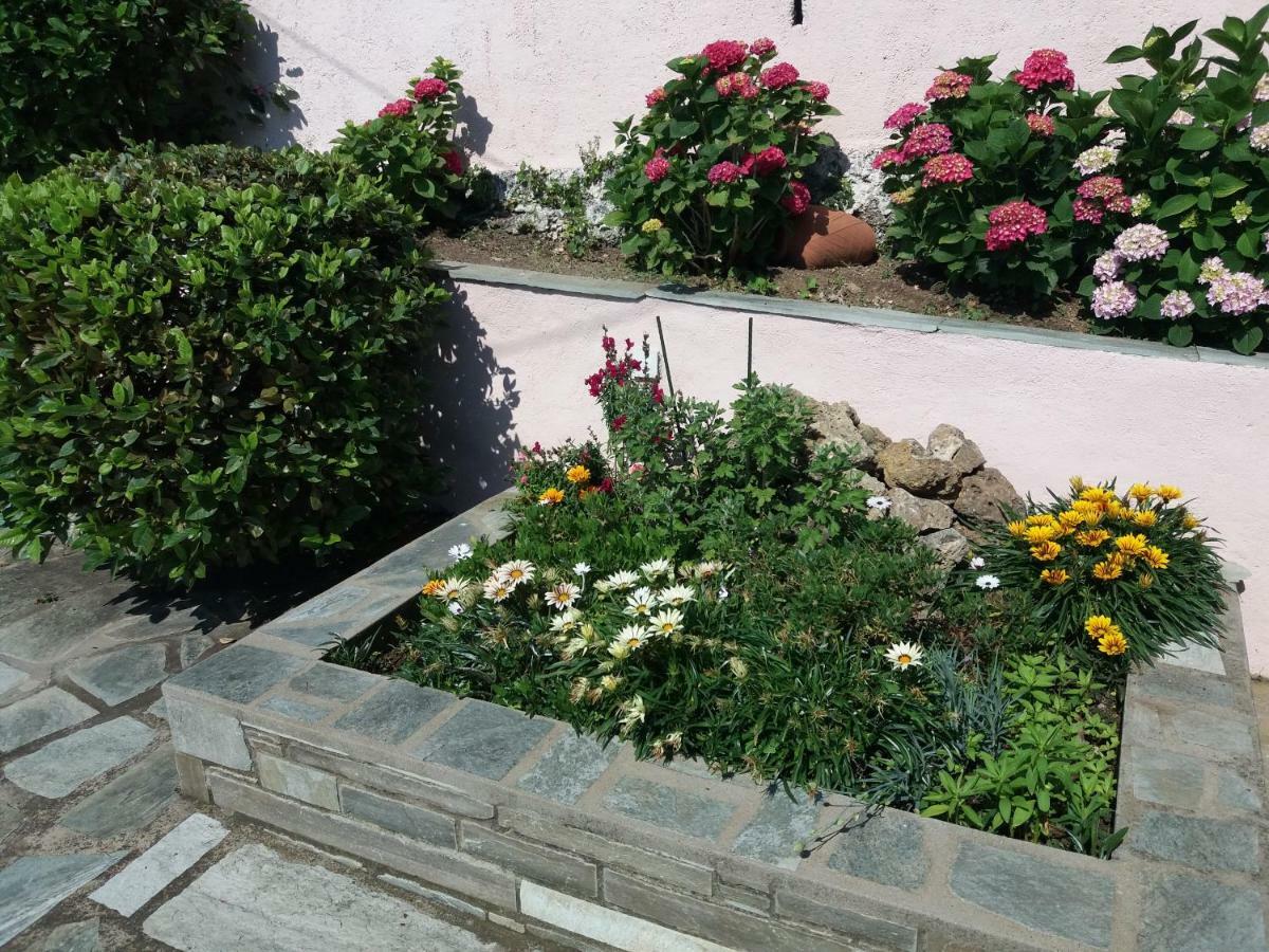 Tsagarada Cottage Екстер'єр фото